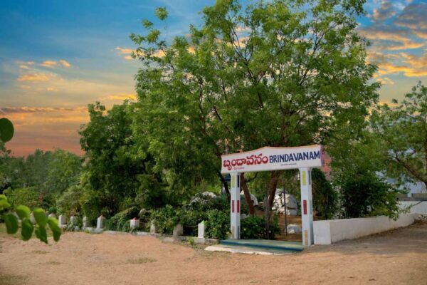 Brundavanam