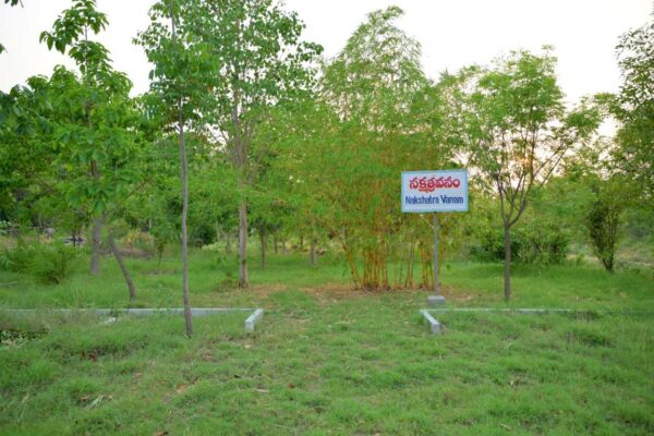 Nakshatra Vanam