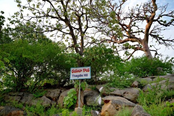 master Thiaoouba Hill